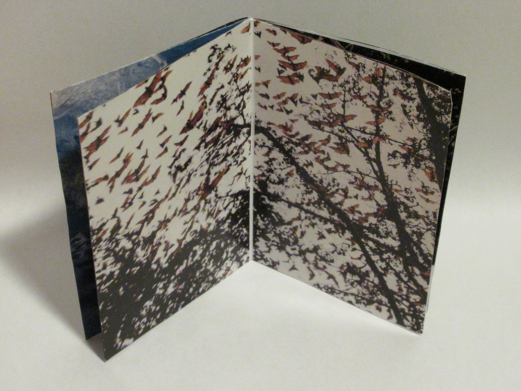 View of inside the example zine